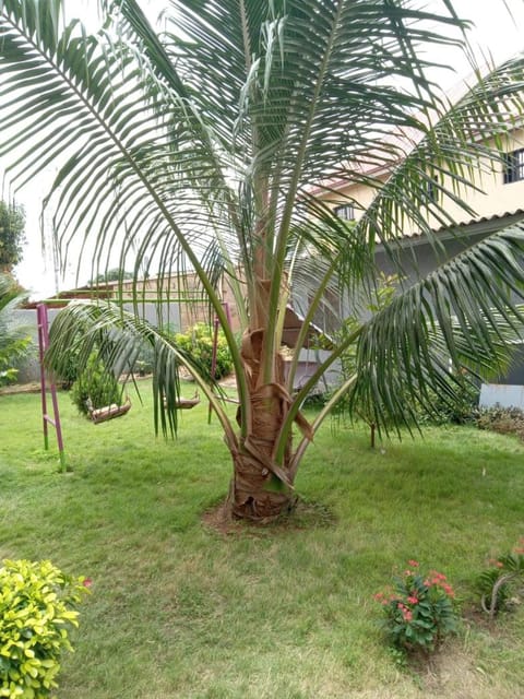 Timm's APPARTEMENTS Apartment in Lomé