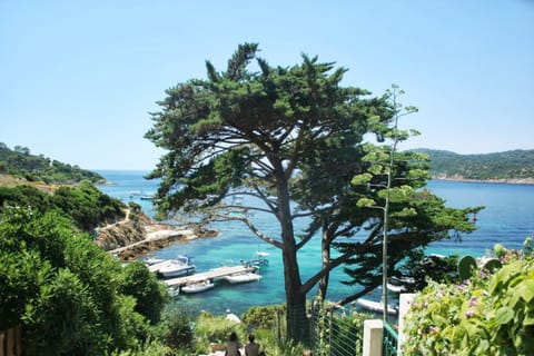 RC d'un Cabanon écologique ile du levant Naturiste House in Hyères