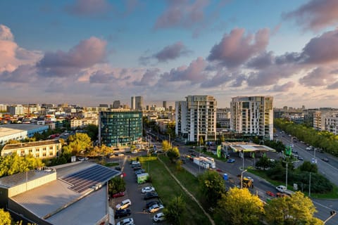 Bird's eye view, City view, Street view