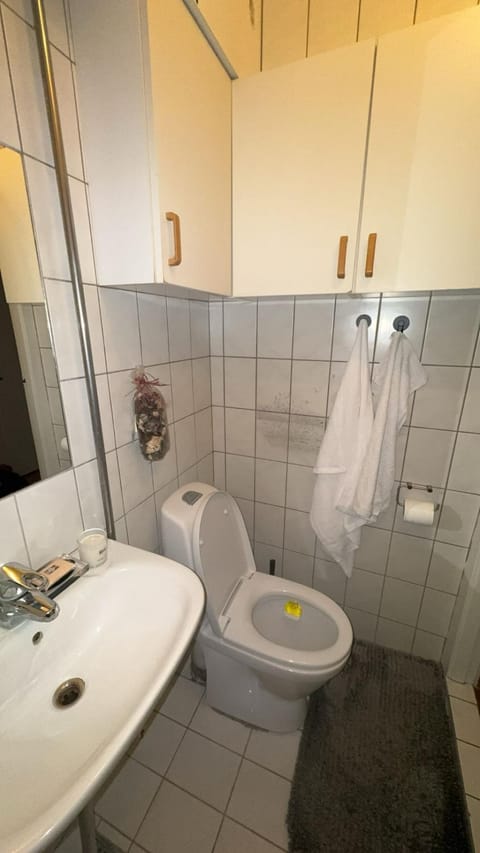 Cheap Apartment Near Central Apartment in Copenhagen