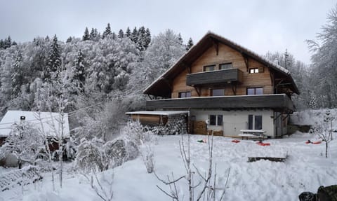 Property building, Facade/entrance, Winter, Skiing