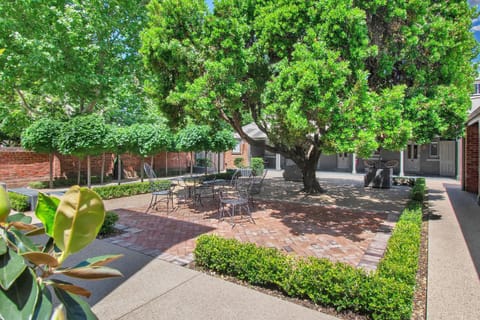 Garden, Inner courtyard view