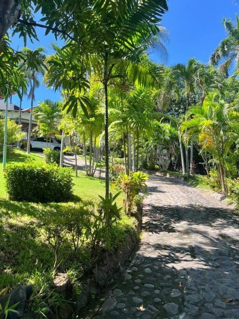 Natural landscape, Garden, Garden view, Parking