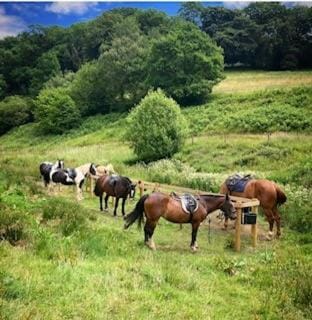 Tarr Farm Inn Inn in West Somerset District