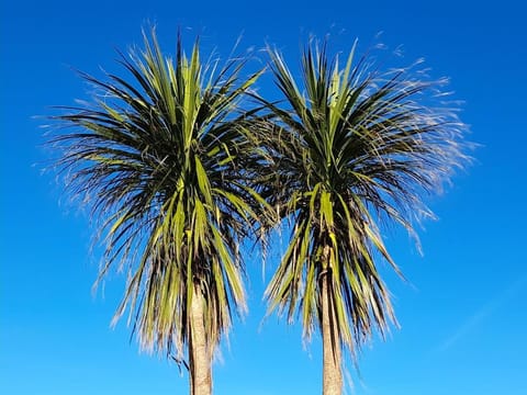 The Granary House in Scotland