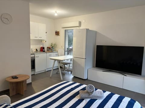 Le Lorina I Studio Apartment in Saint-Julien-en-Genevois