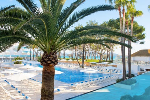 Iberostar Playa de Muro Hôtel in Pla de Mallorca