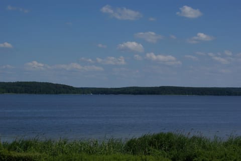 Lake view