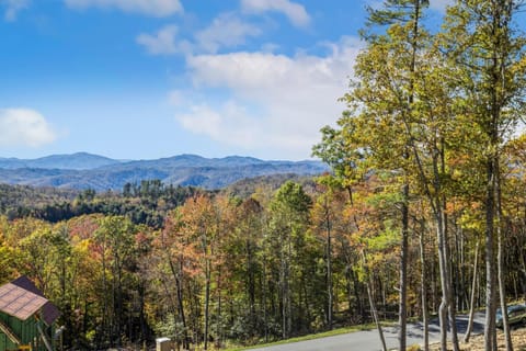 The Boozy Bear Lodge House in Beech Mountain