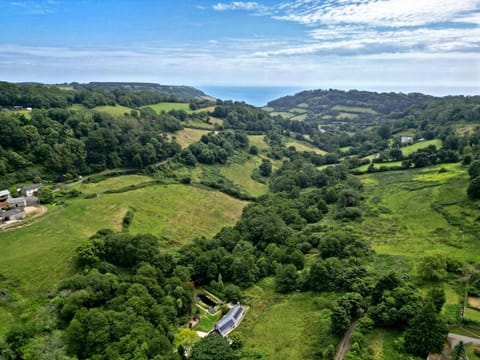 Neighbourhood, Natural landscape, Bird's eye view