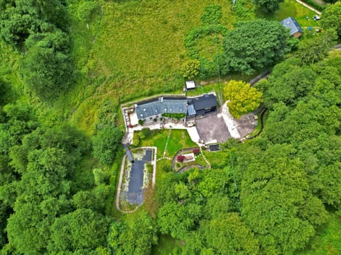 Natural landscape, Bird's eye view, Garden view