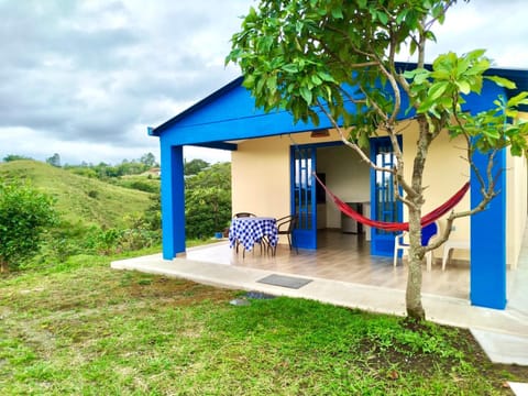 Property building, Patio, Natural landscape, Garden view