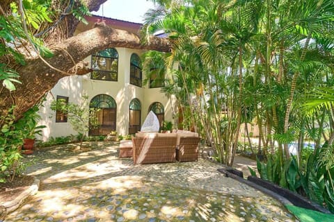 Property building, Garden, Garden view