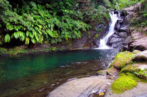 Nearby landmark, Natural landscape