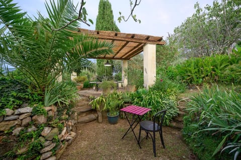 Patio, Garden, Garden