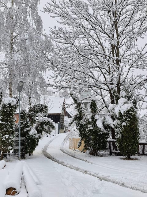 Natural landscape, Winter