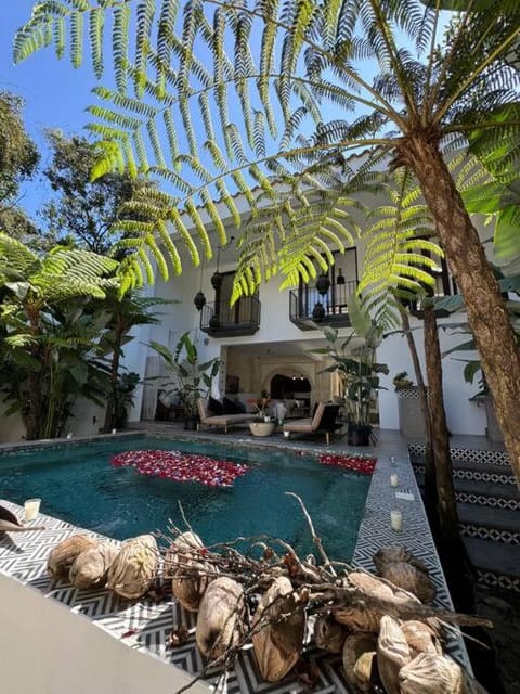 Garden view, Pool view, Swimming pool, sunbed