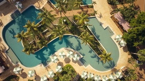 Day, Bird's eye view, Garden, Garden view, Pool view, Swimming pool, sunbed