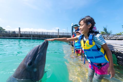 Marine Piazza Okinawa Resort in Okinawa Prefecture