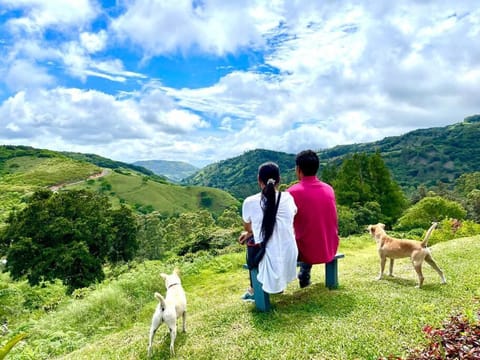 Natural landscape, Mountain view