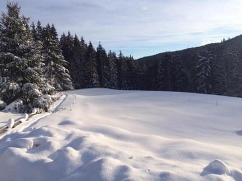 Ferienhaus Bruno - Chalet mit 2 Schlafzimmern Chalet in Hinterzarten