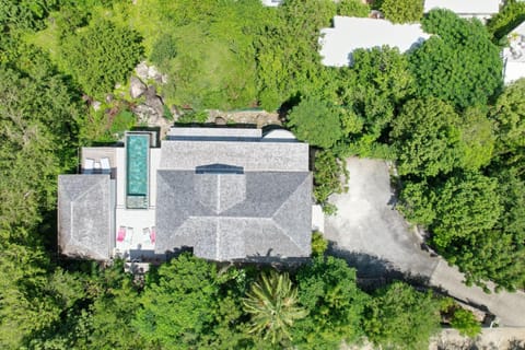 Villa prestigieuse avec vue spectaculaire sur l Anse Marcel Villa in Saint Martin