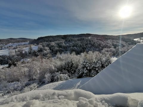 Chata w Bieszczadzie apartamenty i domki z sauną Bieszczady Apartment in Slovakia