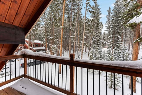 Breck Mountain Home Near Main Street and Trails Casa in Blue River