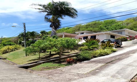 Neighbourhood, Garden, Street view