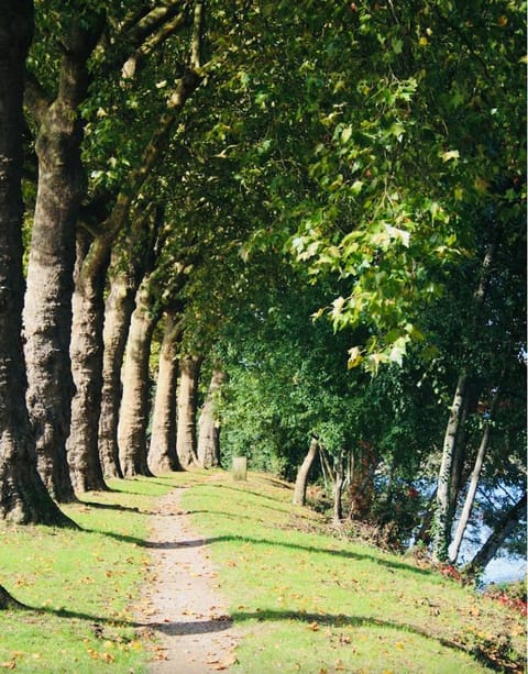 Natural landscape, Quiet street view