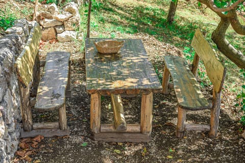 Spring, Day, Garden, Dining area, Garden view