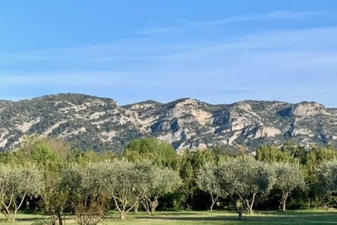 House with swimming pool and breathtaking views of the Luberon House in Cavaillon