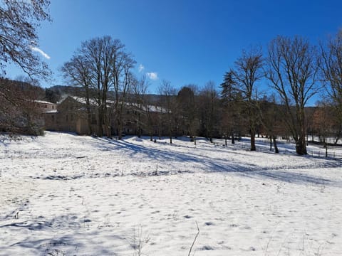 Property building, Winter