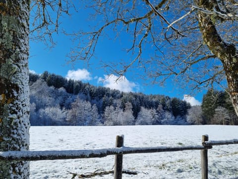 Natural landscape, Winter