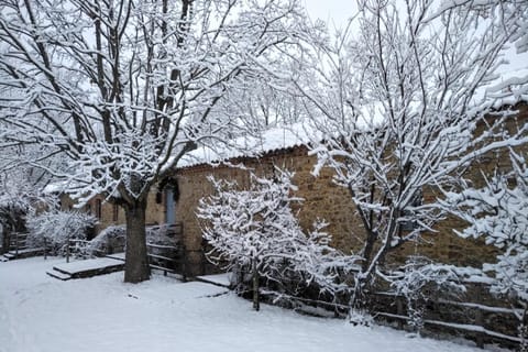 Property building, Winter