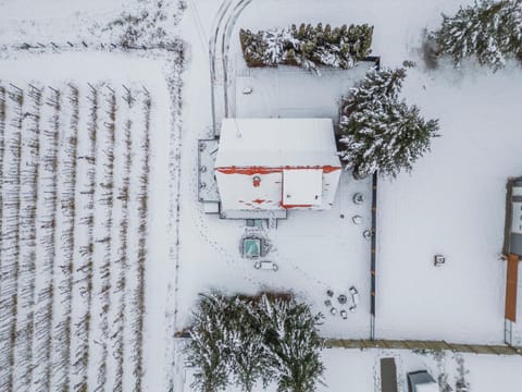 Day, Bird's eye view, Winter