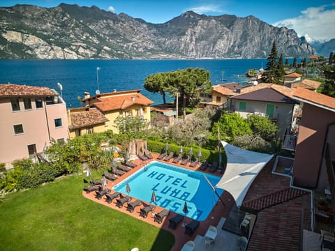 Bird's eye view, Garden, Swimming pool
