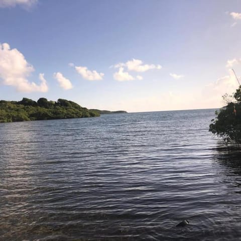 Zelma's Inn House in Antigua and Barbuda