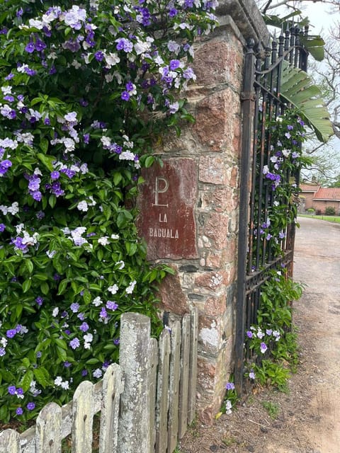 Day, Garden, Garden view