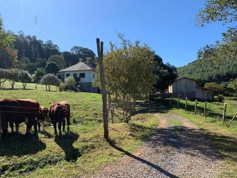 Casa tradicinal de colônia, ampla e confortável House in Caxias do Sul