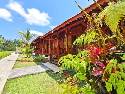 Property building, Garden, Garden view