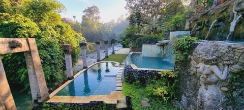 Pool view, Swimming pool