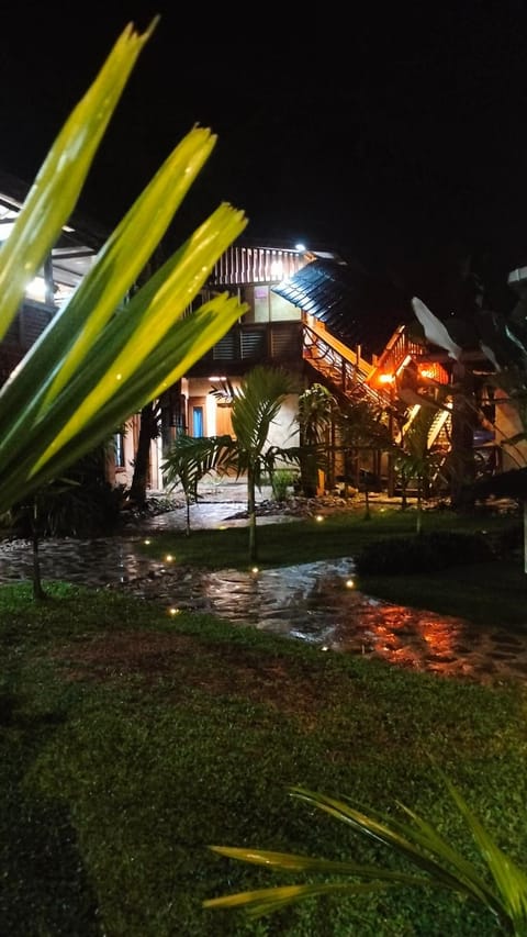 Night, Garden view