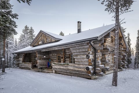 Levikaira Apartments - Log Cabins Condo in Lapland