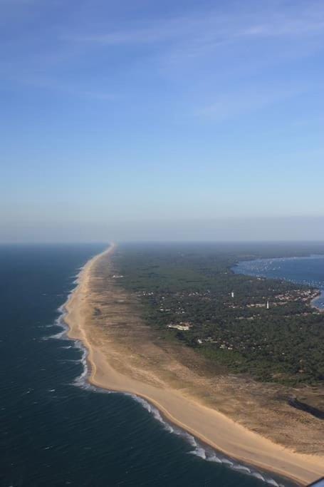 Villa CapFerret sous les pins,bassin et océan à pied Villa in La Teste-de-Buch