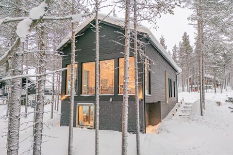 Nordic Design Villa Levi House in Lapland