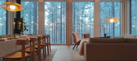 Nordic Design Villa Levi House in Lapland