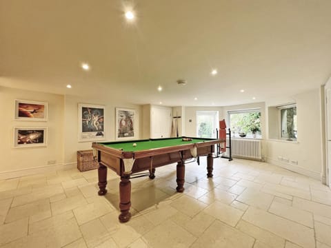 Billiard, Game Room