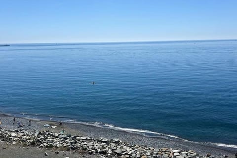 Natural landscape, Beach