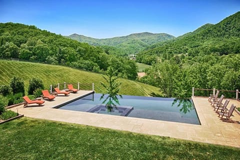 Luxury Estate with Infinity Pool & Amazing Views House in Buncombe County